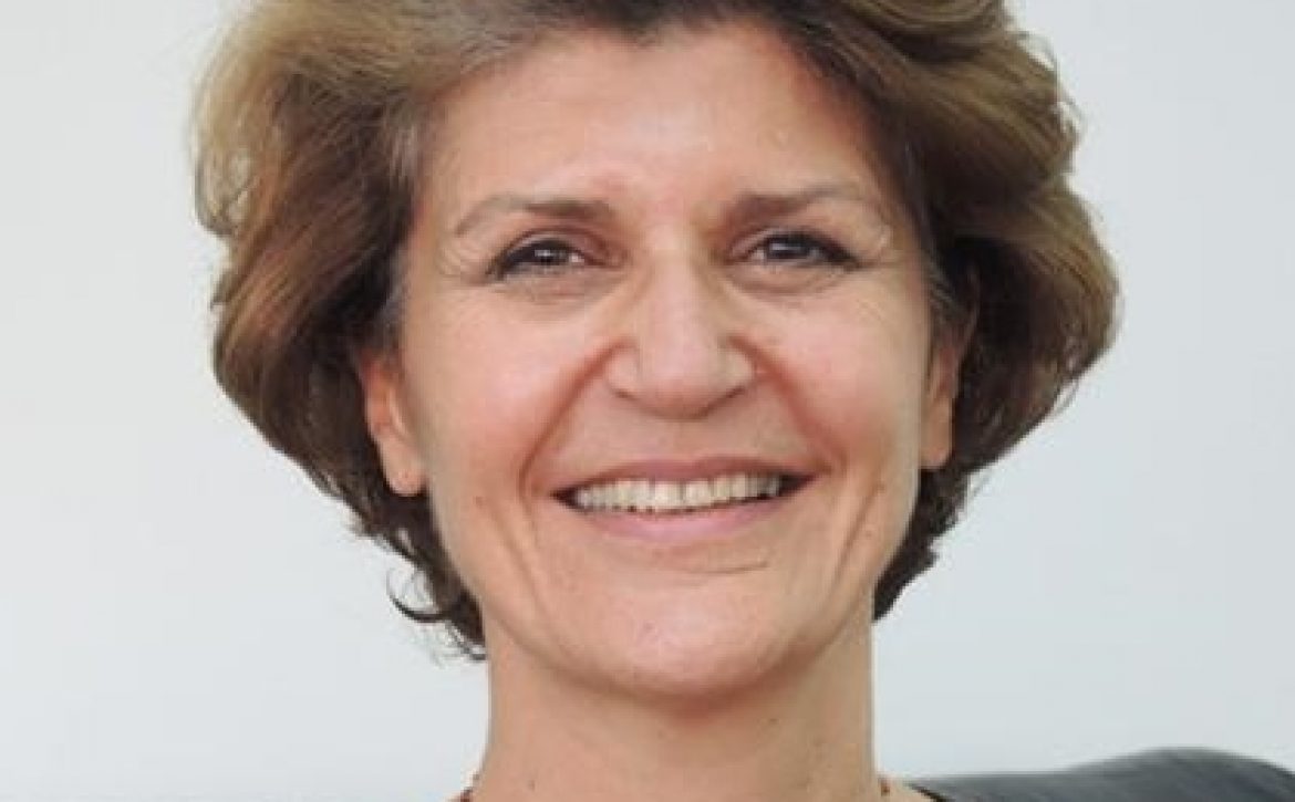 Haleh-Bridi
